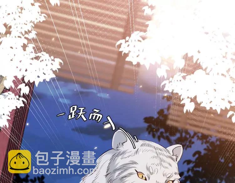 🍝炮灰闺女的生存方式（彩蛋日更中） 第192话 速来速来！ 第41页