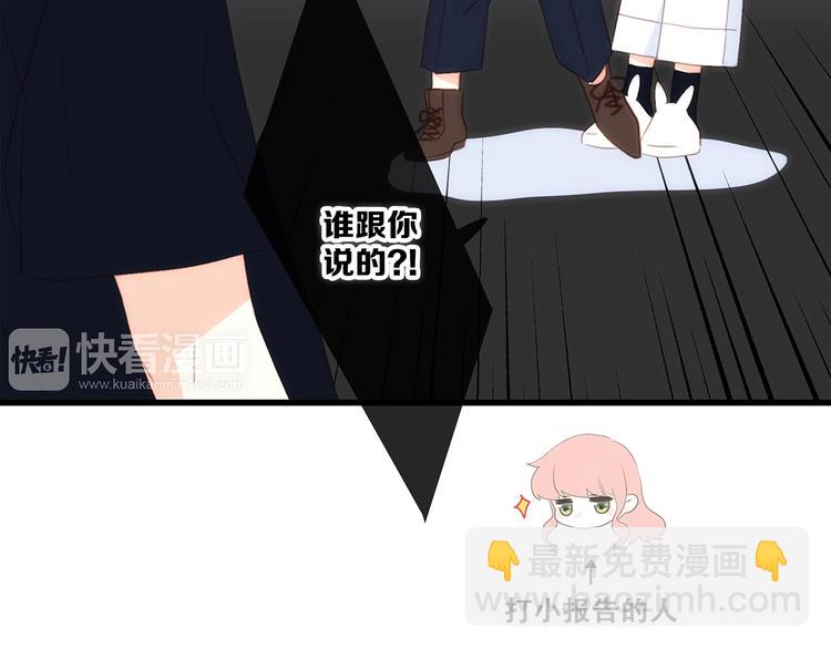 第84话  捡到企鹅妈妈？！(1/3)-第167话