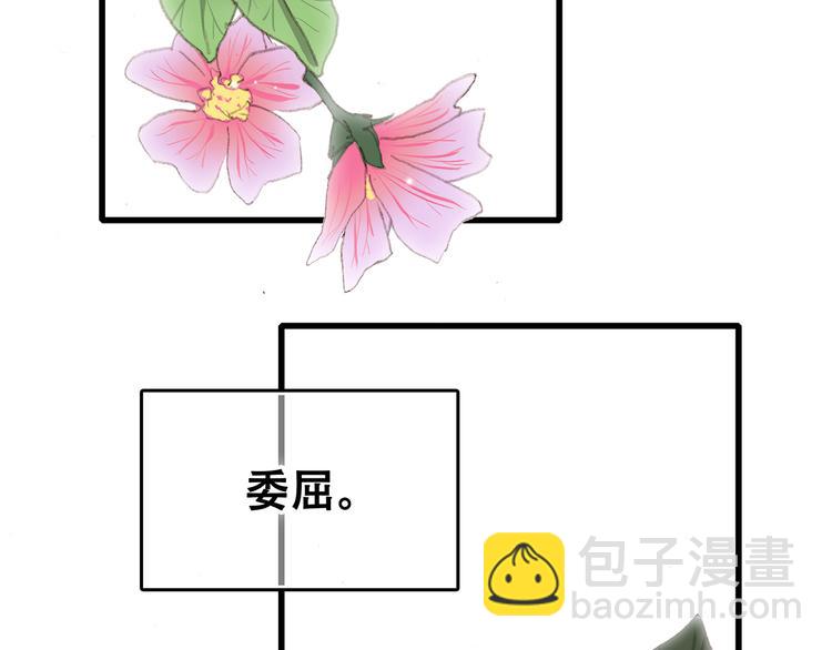 第4话 跟我回家好不好(1/4)-第5话