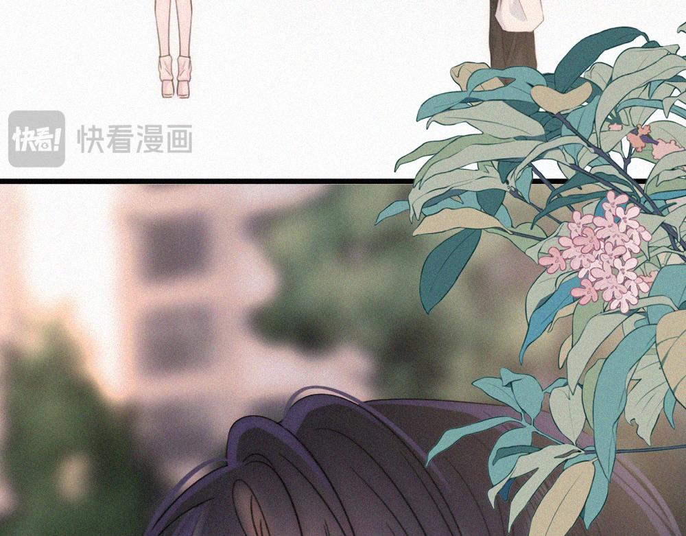 第156话 回家(1/2)-第231话
