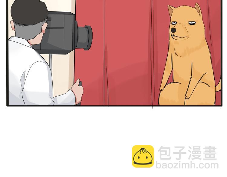 停更小番外【kula办证记】-第131话