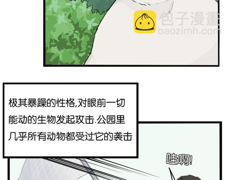 第216话 偶像选拔篇26(1/2)-第229话