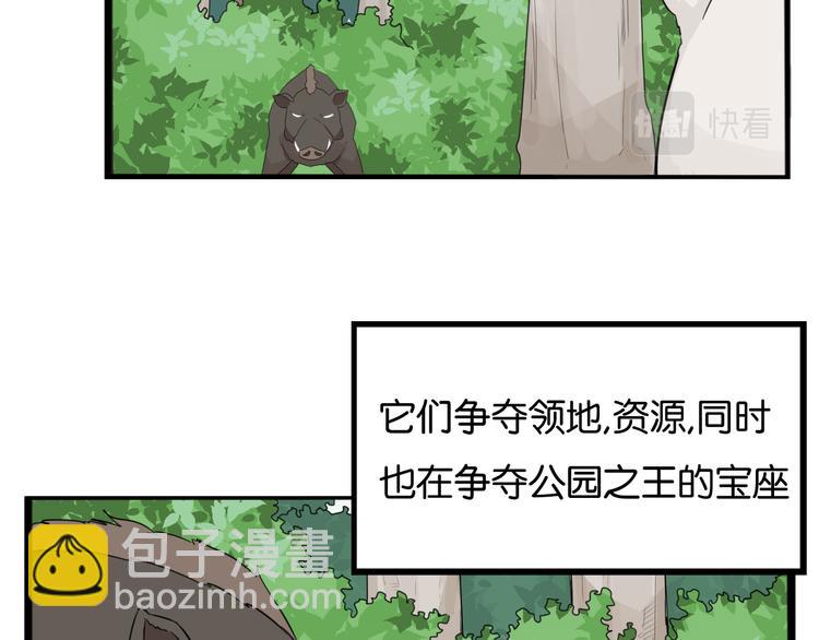 第216话 偶像选拔篇26(1/2)-第229话