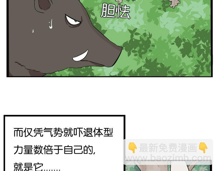第216话 偶像选拔篇26(1/2)-第229话