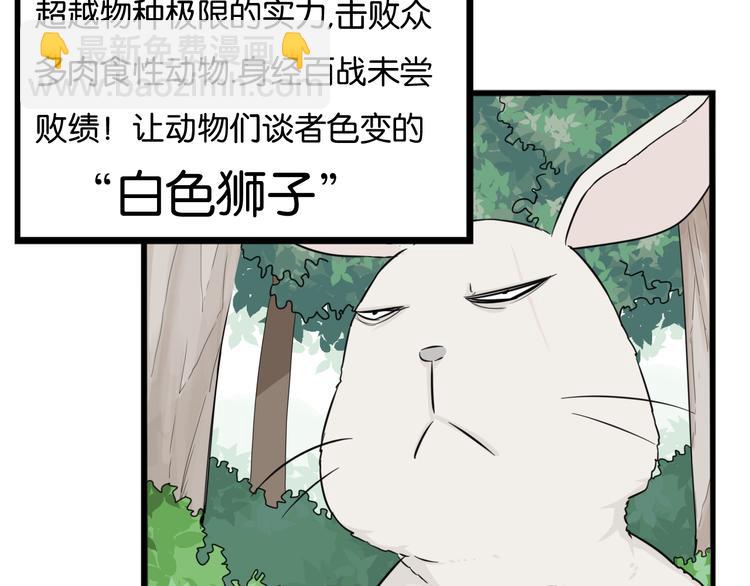 第216话 偶像选拔篇26(1/2)-第229话