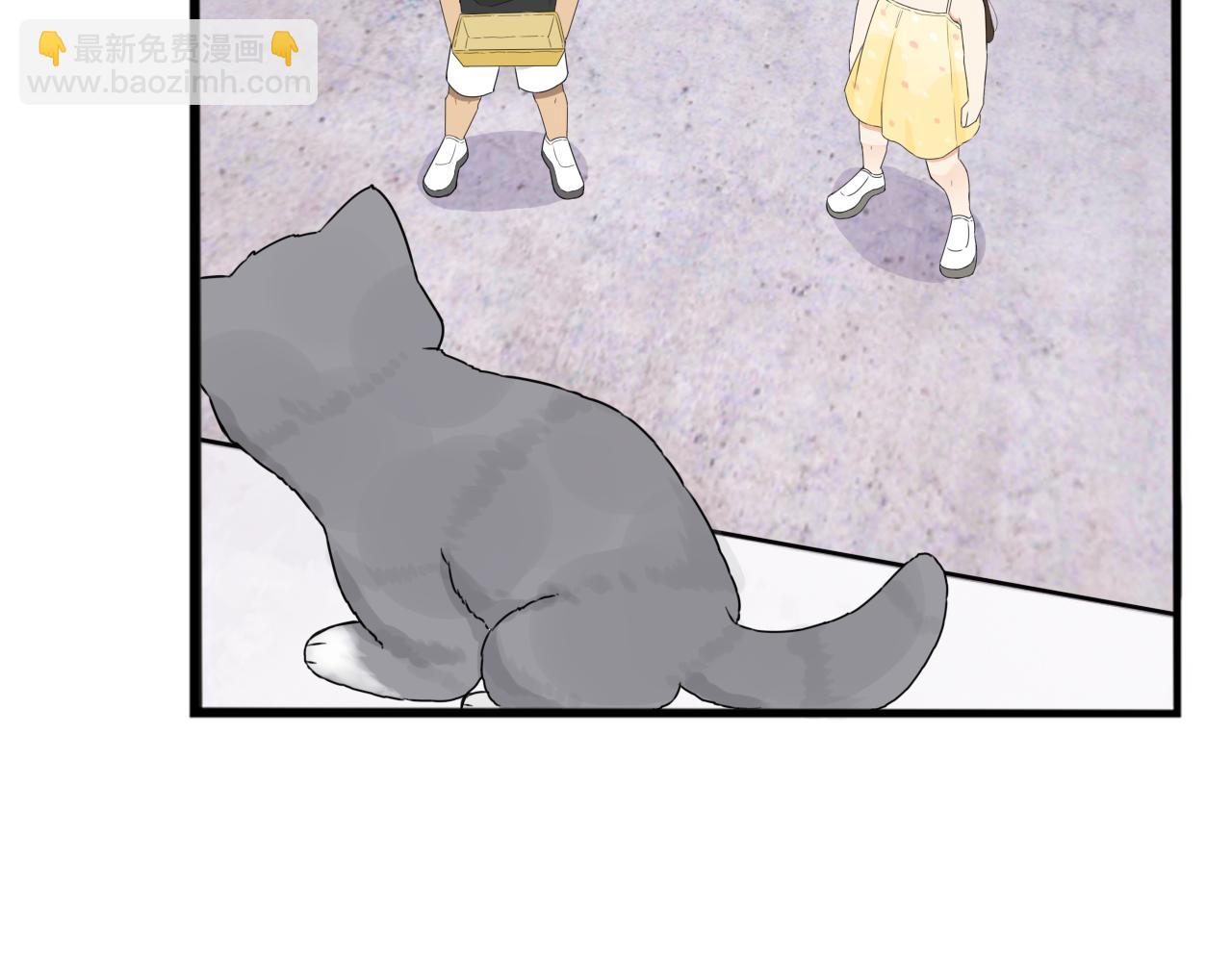 第257话 拯救小猫!(1/2)-第277话