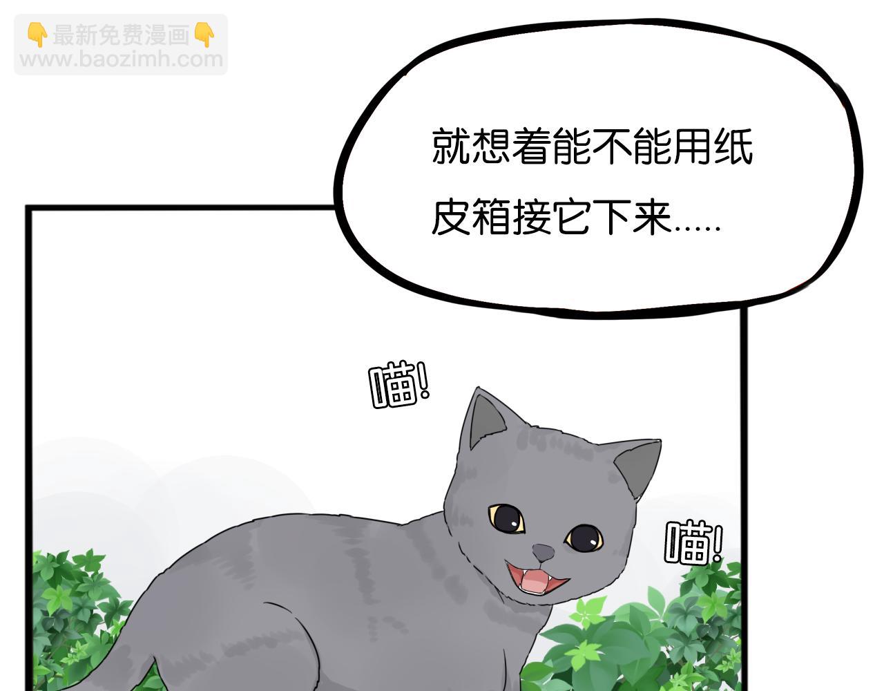 第257话 拯救小猫!(1/2)-第277话