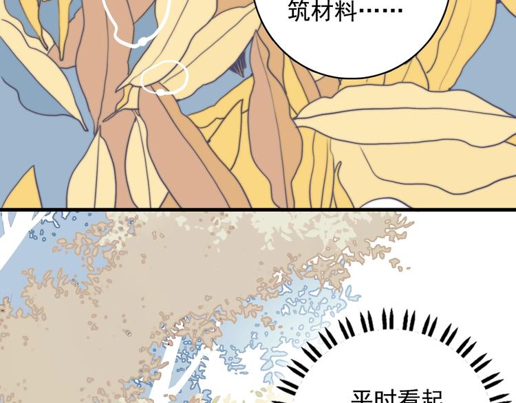 第33话 有味道的爱情(1/3)-第35话