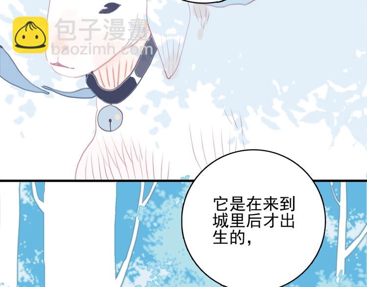 第50话 万圣party(1/3)-第53话