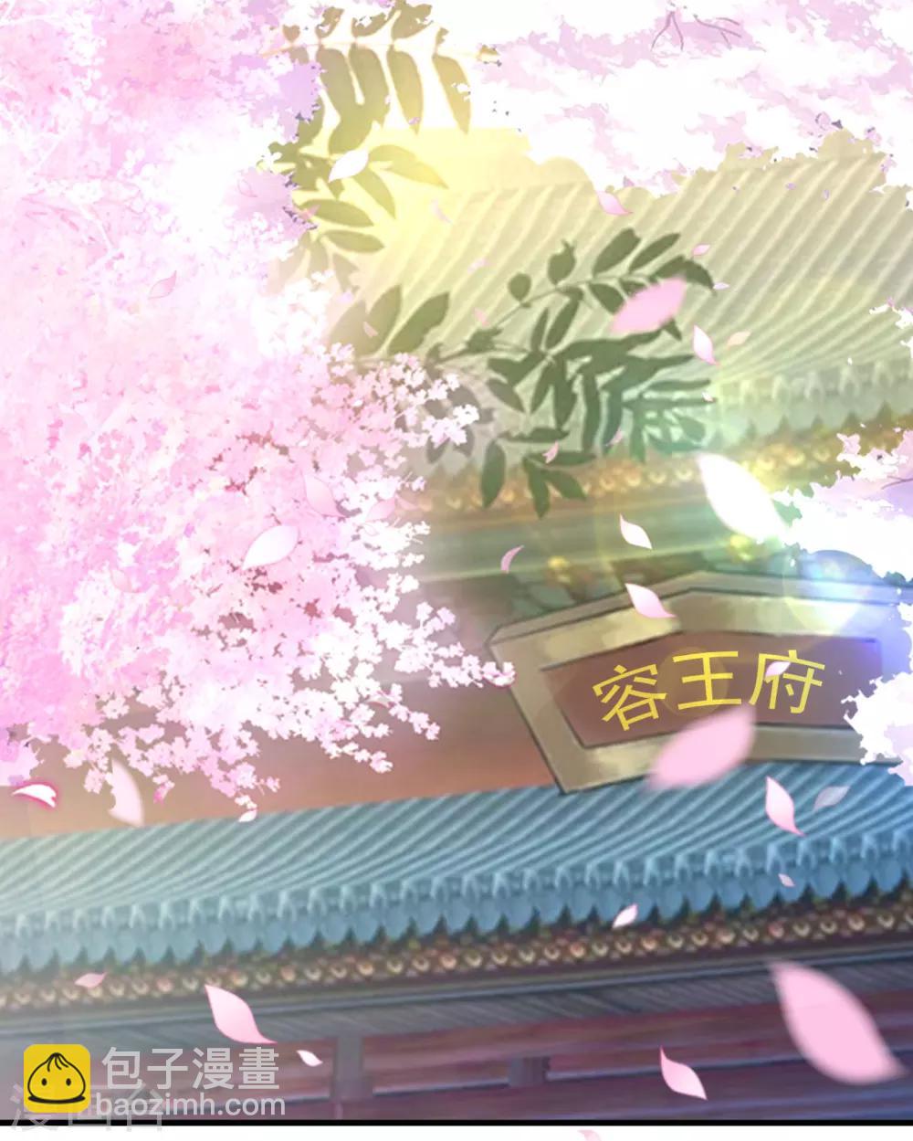 🍝坏心王爷别惹我 第22话 容澈的姐姐 第18页