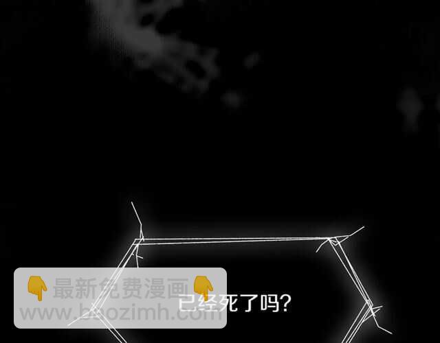 番外篇 小白回来了(1/4)-第87话