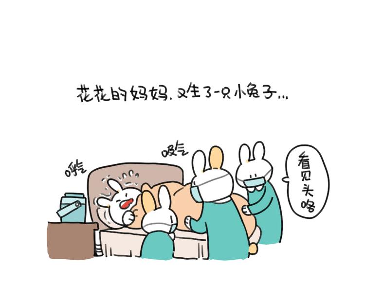 🍝破耳兔 第47话：比小兔子更可爱的 第1页