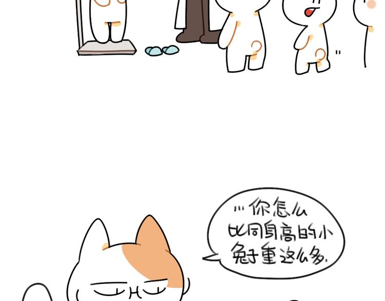 🍝破耳兔 第49话：因为我毛茸茸的呀 第6页