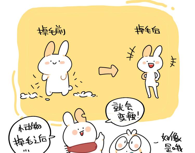 🍝破耳兔 第83话：谁可以带走我的肥肉 第6页