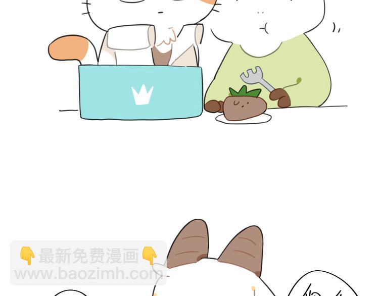🍝破耳兔 第93话：猫是一种神奇的生物 第10页