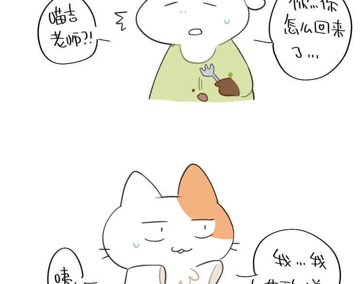 🍝破耳兔 第93话：猫是一种神奇的生物 第11页