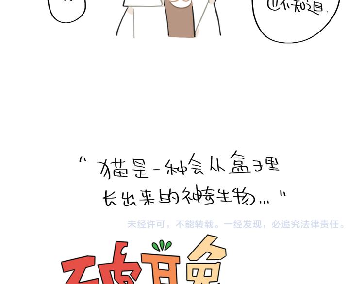 🍝破耳兔 第93话：猫是一种神奇的生物 第12页
