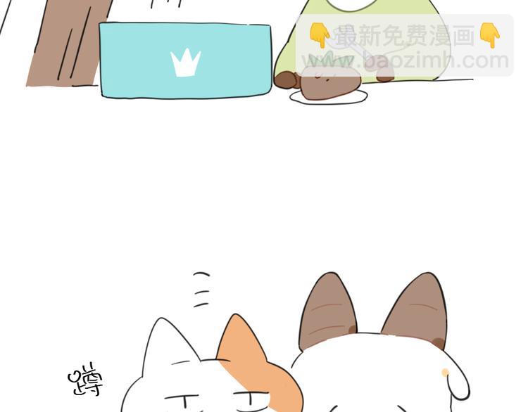🍝破耳兔 第93话：猫是一种神奇的生物 第9页