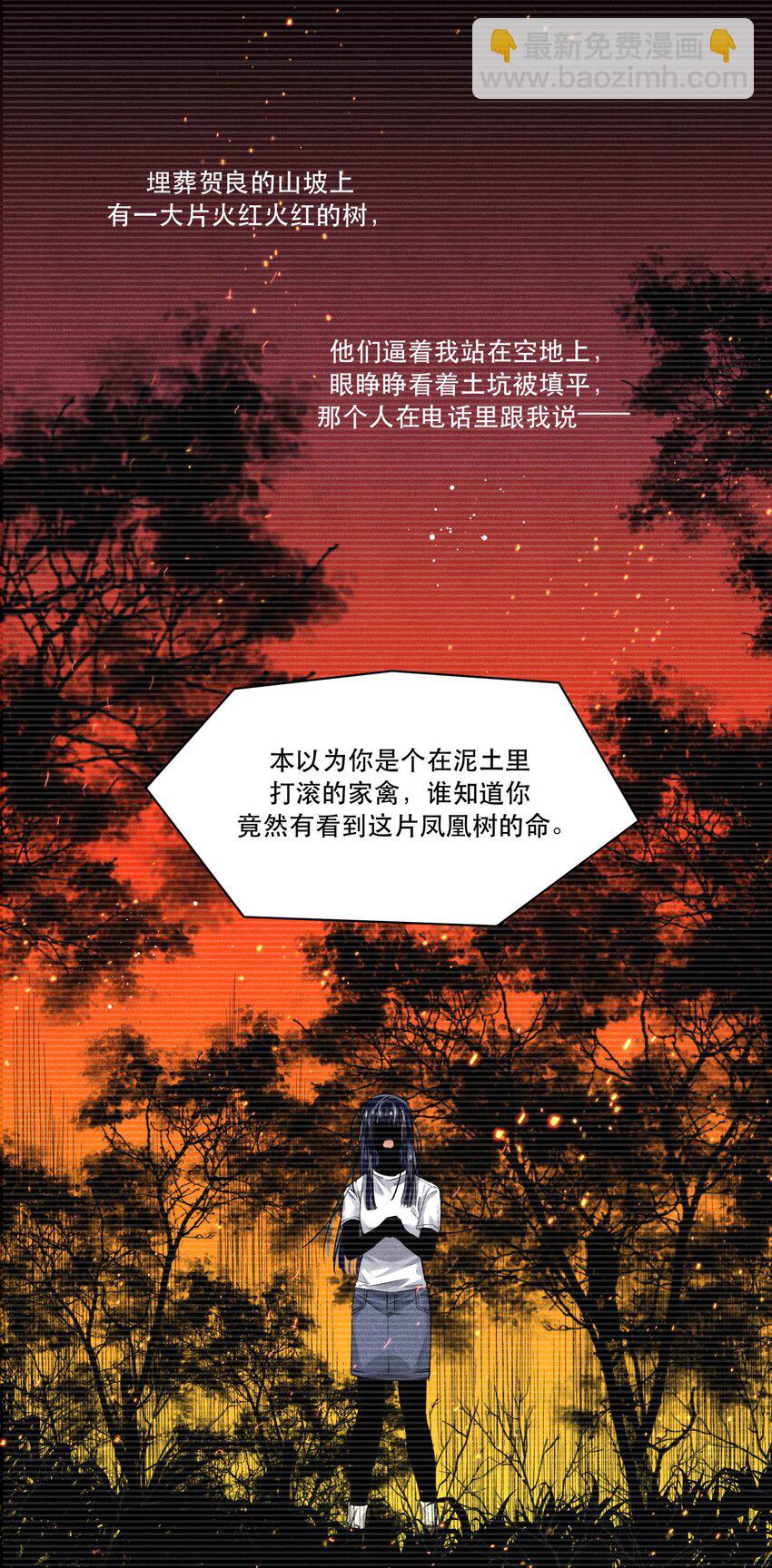 🍝破云 89 天纵山 凤凰林 第19页