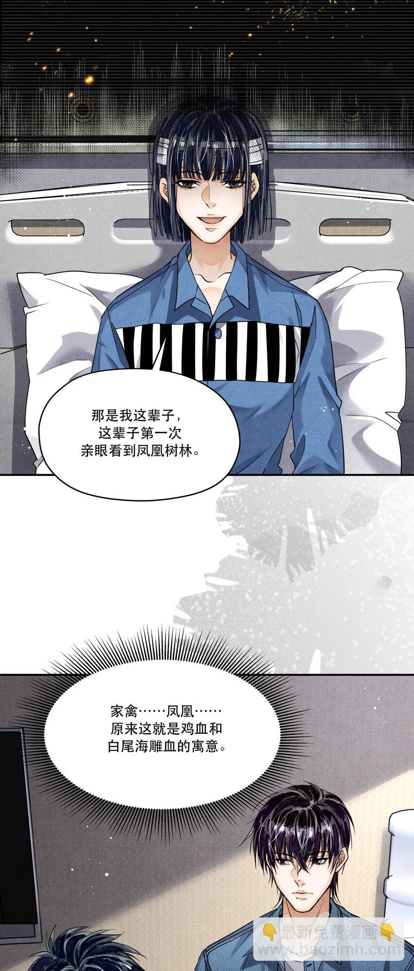 🍝破云 89 天纵山 凤凰林 第20页