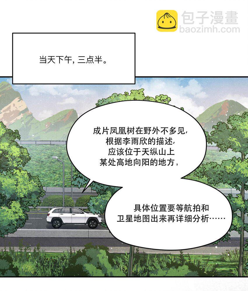 🍝破云 89 天纵山 凤凰林 第22页