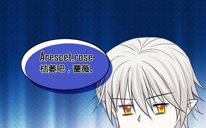 第30话 蔷薇的能力-第29话
