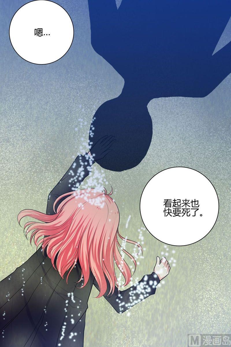 第42话快消失了-第41话