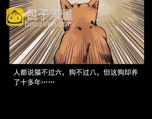 🍛枪爷异闻录 第116话 三脚猫！ 第9页