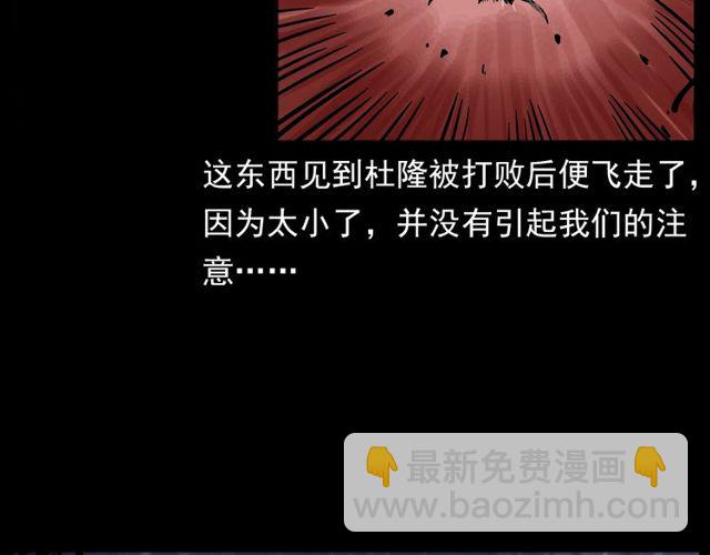 🍛枪爷异闻录 第134话  鬼飘虫 第12页