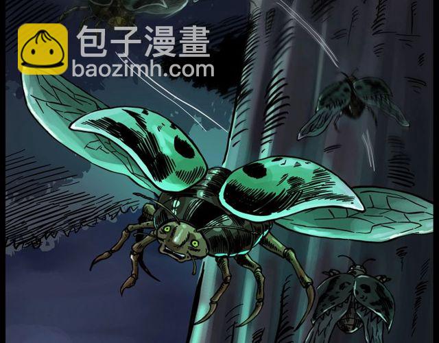 🍛枪爷异闻录 第134话  鬼飘虫 第3页