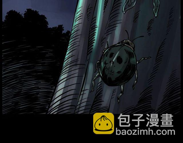 🍛枪爷异闻录 第134话  鬼飘虫 第4页