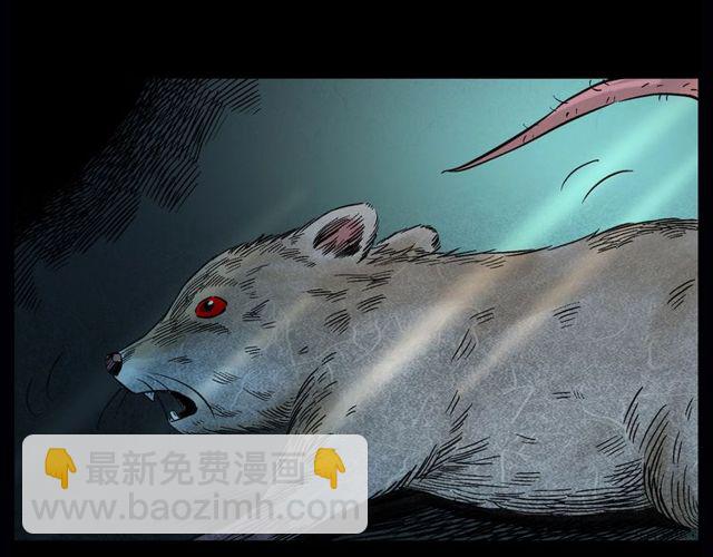 🍛枪爷异闻录 第164话  阎老九之吊死鬼 第47页