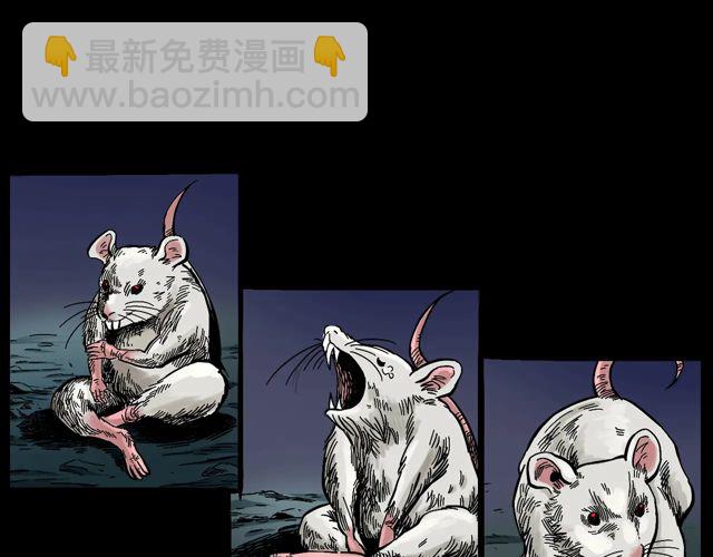 🍛枪爷异闻录 第170话  阎老九之盗墓贼 第10页