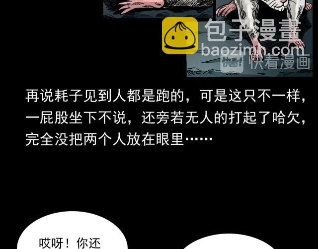 🍛枪爷异闻录 第170话  阎老九之盗墓贼 第11页