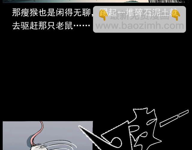🍛枪爷异闻录 第170话  阎老九之盗墓贼 第13页