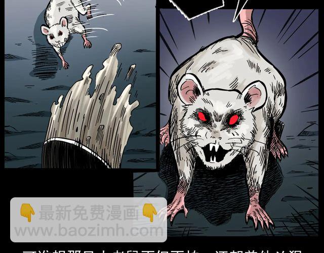 🍛枪爷异闻录 第170话  阎老九之盗墓贼 第14页