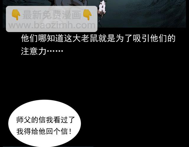 🍛枪爷异闻录 第170话  阎老九之盗墓贼 第29页