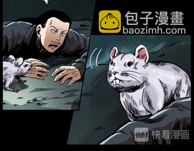 🍛枪爷异闻录 第170话  阎老九之盗墓贼 第30页