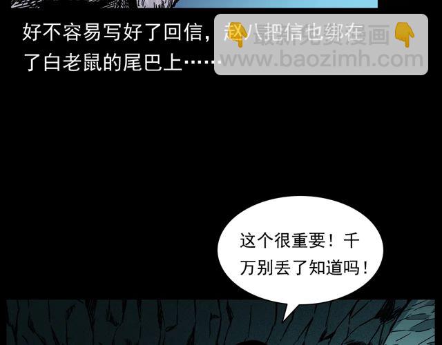 🍛枪爷异闻录 第170话  阎老九之盗墓贼 第34页