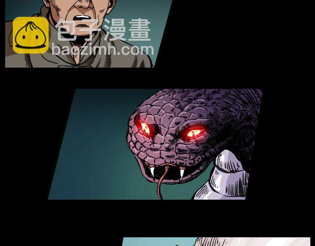🍛枪爷异闻录 第170话  阎老九之盗墓贼 第49页