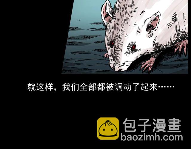 🍛枪爷异闻录 第170话  阎老九之盗墓贼 第50页