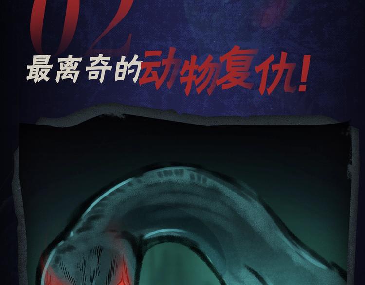 🍛枪爷异闻录 番外 广播剧正式上线啦！ 第11页