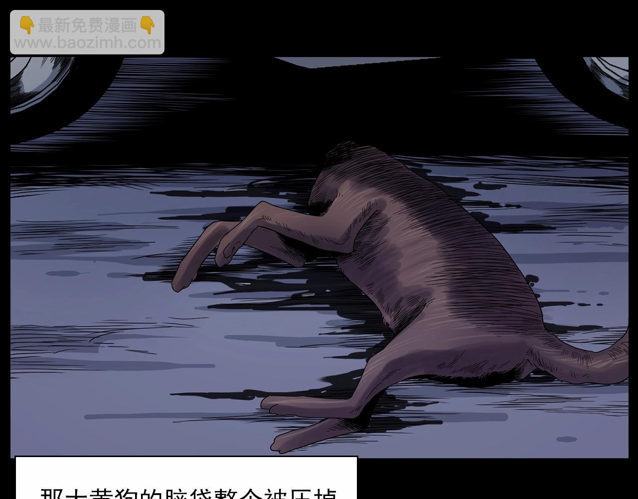 🍛枪爷异闻录 第185话 午夜场之偷狗 第43页