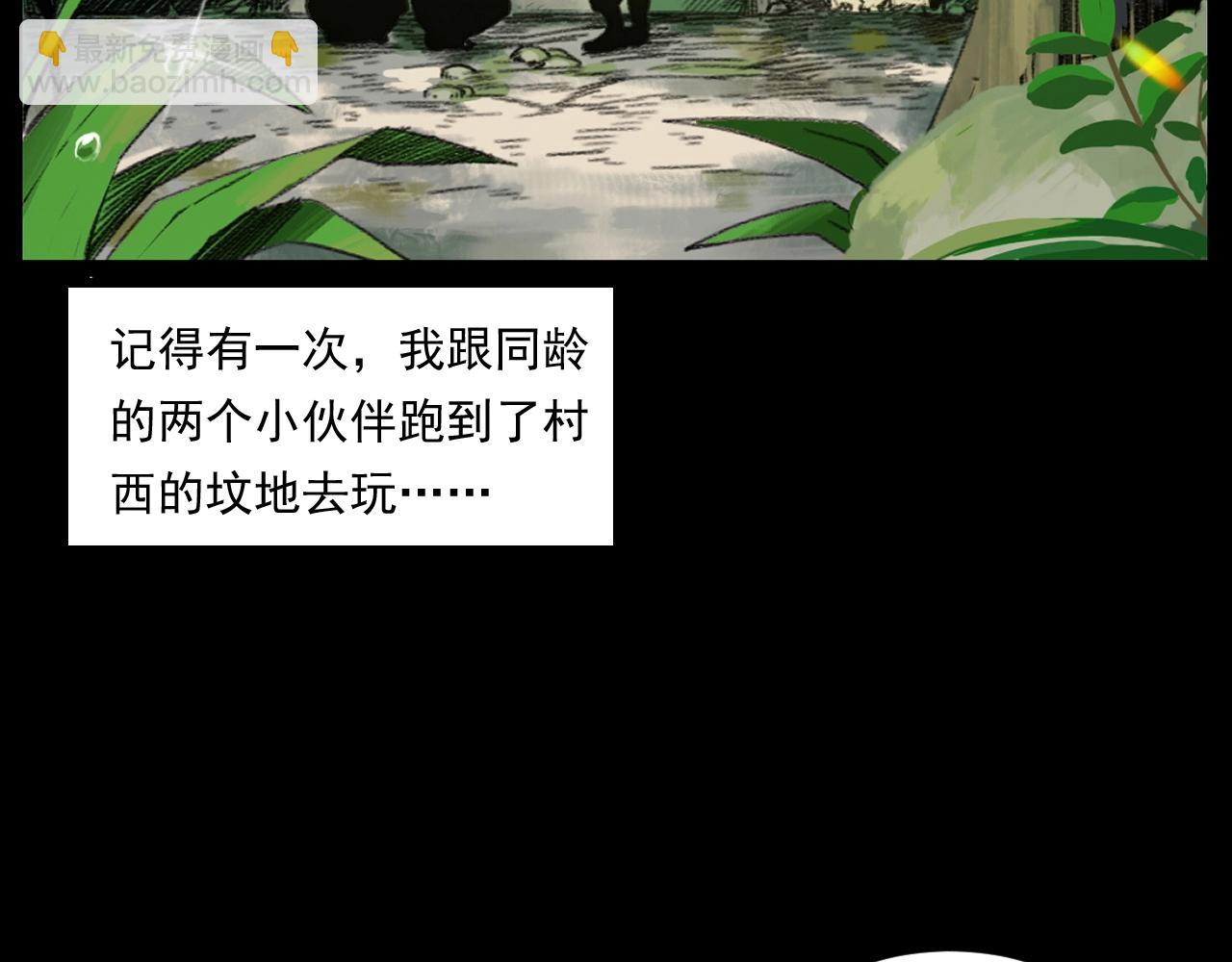 🍛枪爷异闻录 第245话 招魂词 第12页