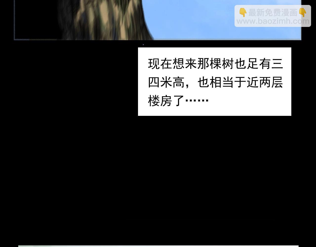 🍛枪爷异闻录 第245话 招魂词 第28页
