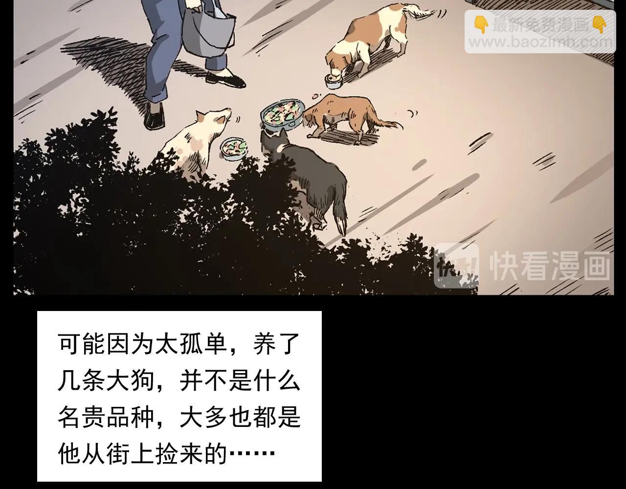 🍛枪爷异闻录 第255话 老人与狗 第14页