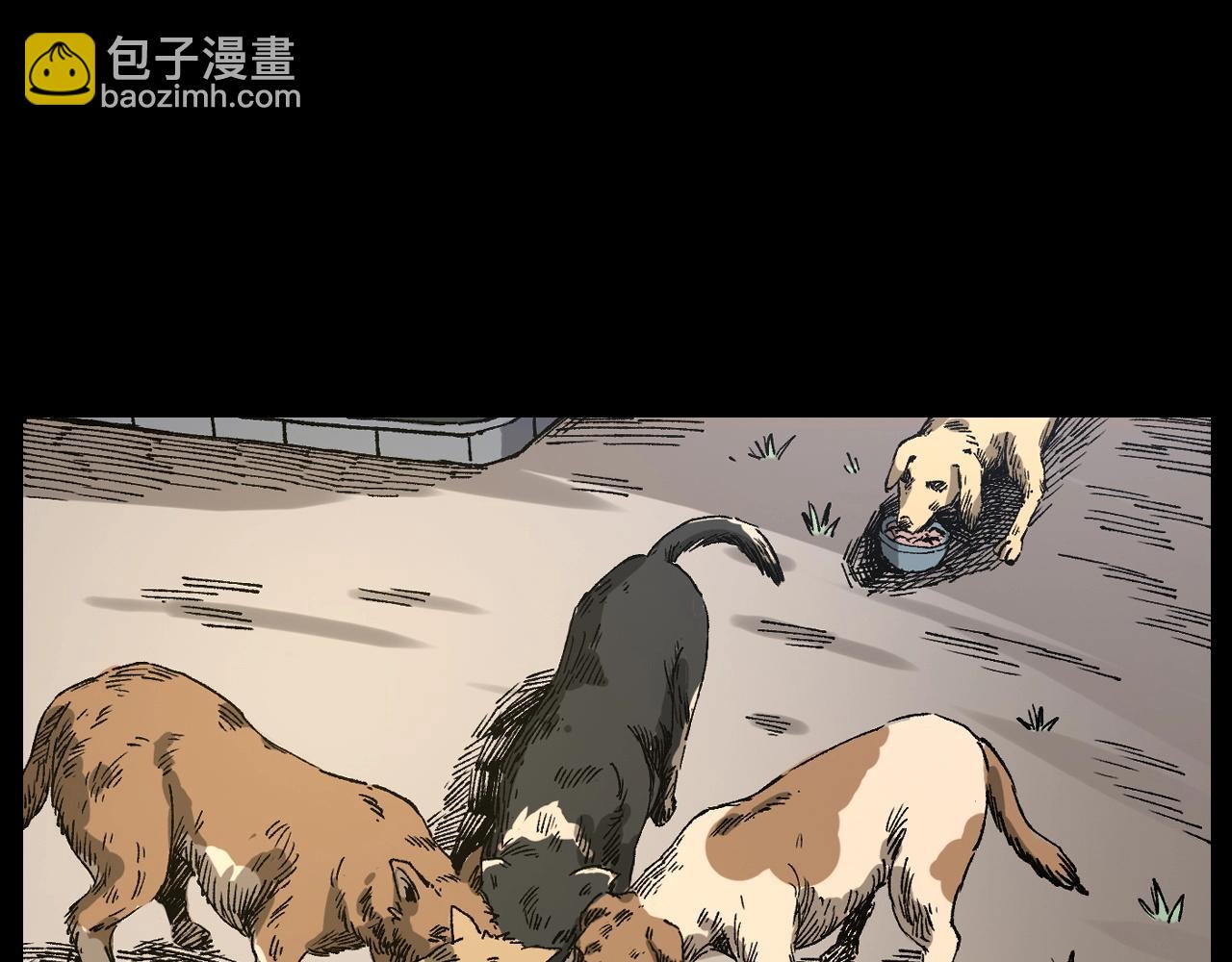 🍛枪爷异闻录 第255话 老人与狗 第15页