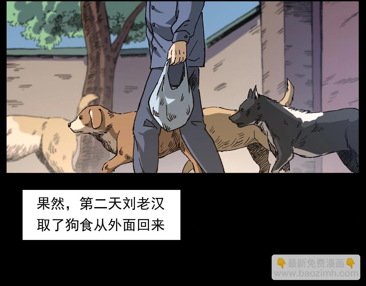🍛枪爷异闻录 第255话 老人与狗 第49页