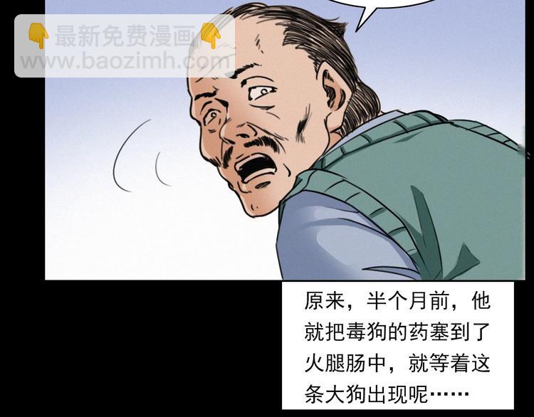 🍛枪爷异闻录 第273话 毒狗 第43页