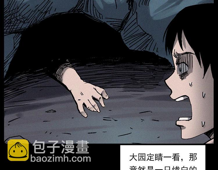 🍛枪爷异闻录 第281话 母女魂 第47页